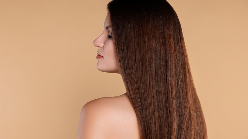 Conheça curiosidade sobre o castanho acobreado