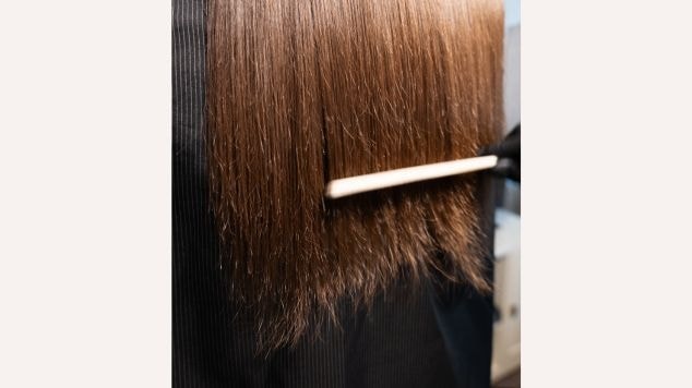 Cabelo liso castanho com muitas pontas duplas e frizz